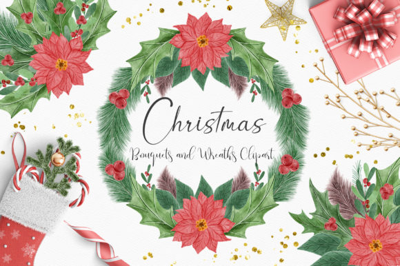 Christmas Flower Watercolor Clipart & Illustrations Review